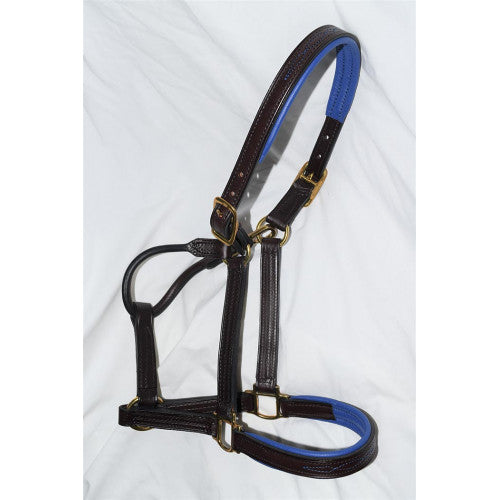 Clever with Leather Padded Dark Brown Leather Halter