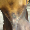 County Drespri Dressage Saddle/All-Purpose - 17"