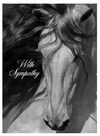 Horse Hollow Press Sympathy Card: Gorgeous Gray